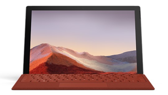 莲花清洁和维护 Surface